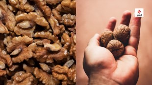 Health Benefits Walnut For Heart Mind Diabetes Cancer Control