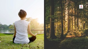shinrin-yoku-japanese-therapy-how-to-get-rid-of-stress-mental-health-tips-marathi-news-sc-ieghd-import-sjr-98