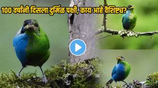 100 Years Later Rare Bird With Half Male And Half Female Genitals Expert Says It Helps Study Sexual Habits Behavior See Photos