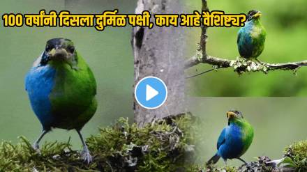 100 Years Later Rare Bird With Half Male And Half Female Genitals Expert Says It Helps Study Sexual Habits Behavior See Photos