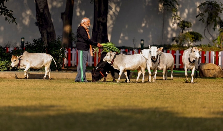 Sankranti