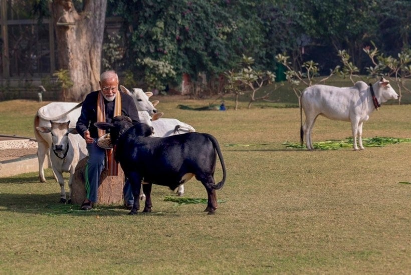 Makar Sankranti date