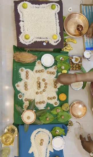 madhuri pawar bought new house in satara