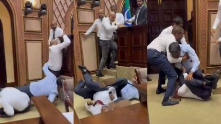 maldives parliament fight
