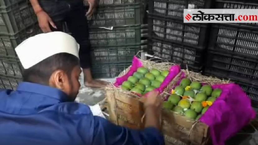 First Mango Of The 2024 Reached APMC Navi Mumbai and Pune Check Prices Of Mango This Year One Piece of Aam At 400 Rupees