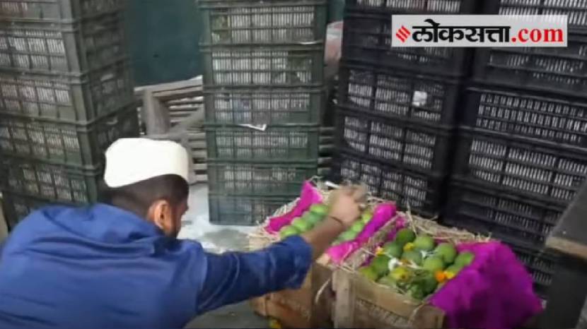 First Mango Of The 2024 Reached APMC Navi Mumbai and Pune Check Prices Of Mango This Year One Piece of Aam At 400 Rupees
