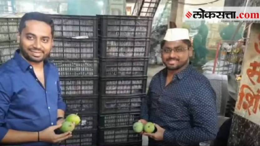 First Mango Of The 2024 Reached APMC Navi Mumbai and Pune Check Prices Of Mango This Year One Piece of Aam At 400 Rupees