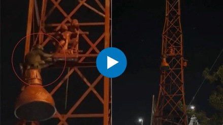 monkey climbed tower to touch feet of hanumanji watch mysterious viral video