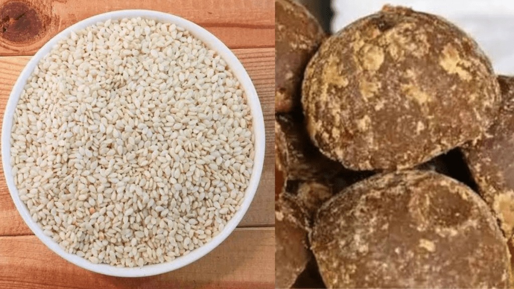 price sesame jaggery doubled this year Makar Sankranti gondia price sesame jaggery doubled this year Makar Sankranti gondia