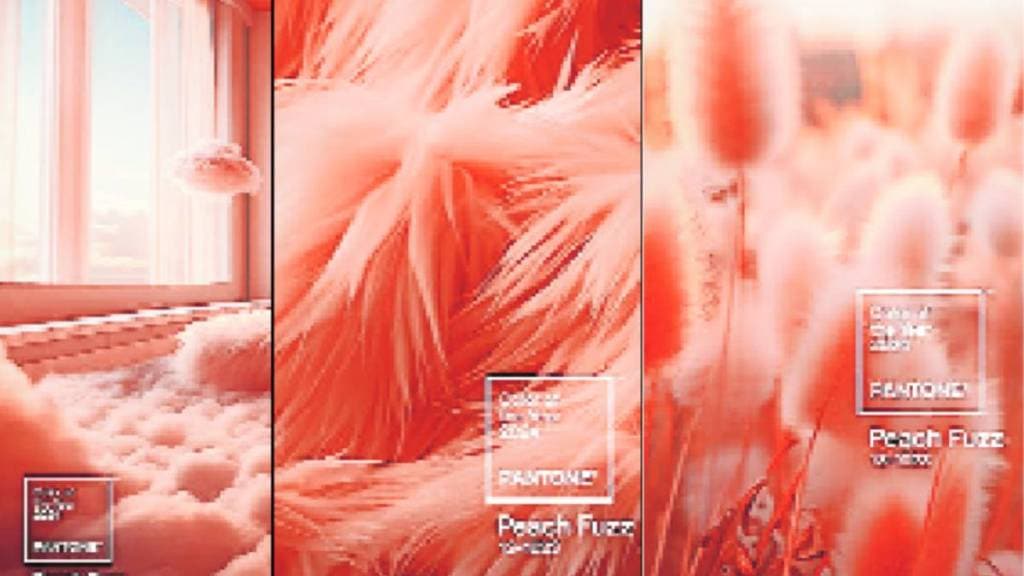 Color of the year 2024 PEACH FUZZ 13-1023