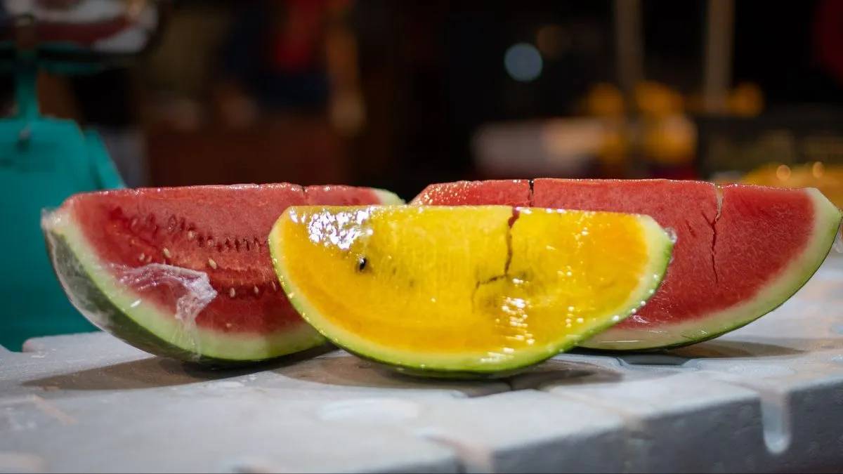 विविधरंगी कलिंगड! article about colorful watermelon different colors