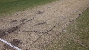 cricket pitch