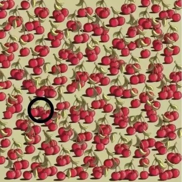 Optical Illusion Visual Test