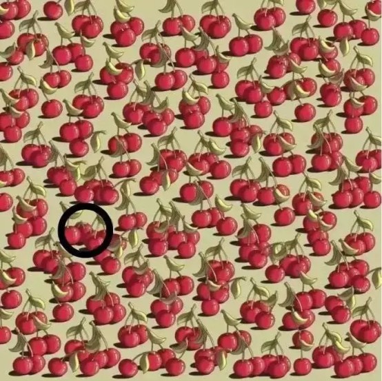 Optical Illusion Visual Test