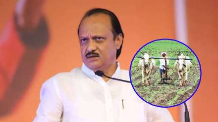 AJIT PAWAR AND BUDGET AJIT PAWAR AND BUDGET
