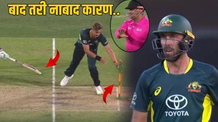 Umpire stops Australia Wicket celebrations no appeal For run out Rule For Not Out AUS vs WI T20I Highlights Second Win After IND vs AUS