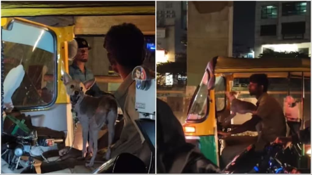 Bengaluru auto driver takes his furry friend out for a ride So cute ays Internet