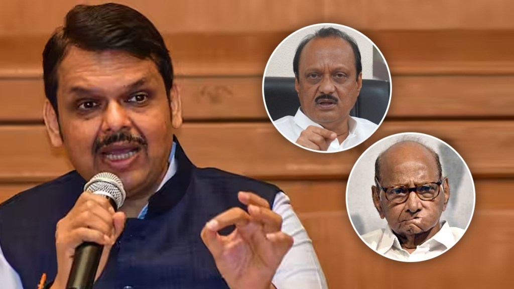 What Devendra Fadnavis Said?