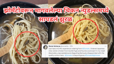 Disgusting Woman finds cockroach in her Zomato order, company responds we are sorry to hear about the unfortunate incident
