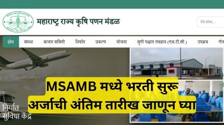 MSAMB recruitment for 2024 how to apply