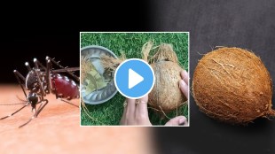 Natural Ways to Get rid of Mosquitoes