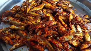 Black fish fry recipe in marathi