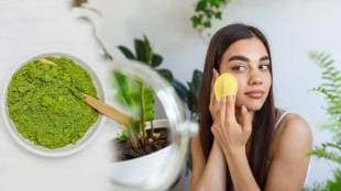 Homemade Tulsi Face Masks To Get Blemish Free And Clear Skin