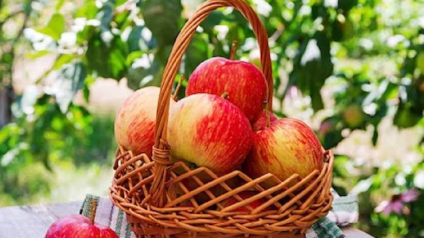 Eat apple in 4 ways 