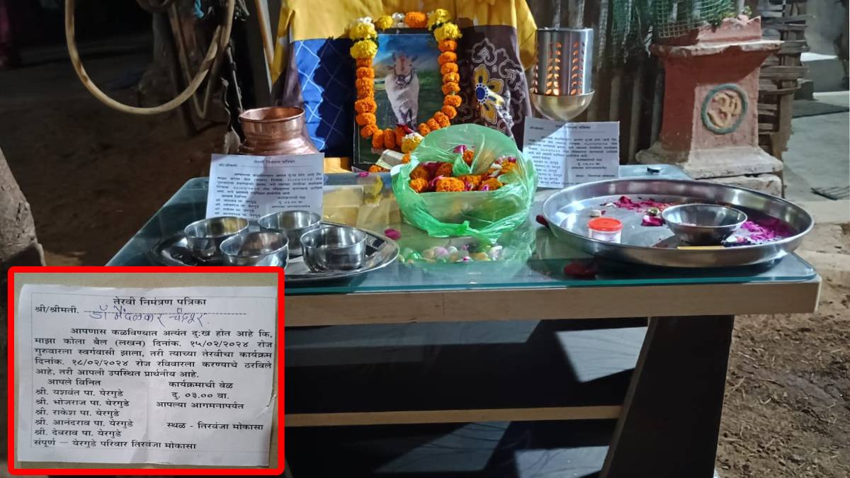 Teravi Ritual चंद्रपूर : पशू नव्हे कुटुंबातील सदस्यच! लाडक्या ‘लखन’च्या मृत्यूनंतर ...
