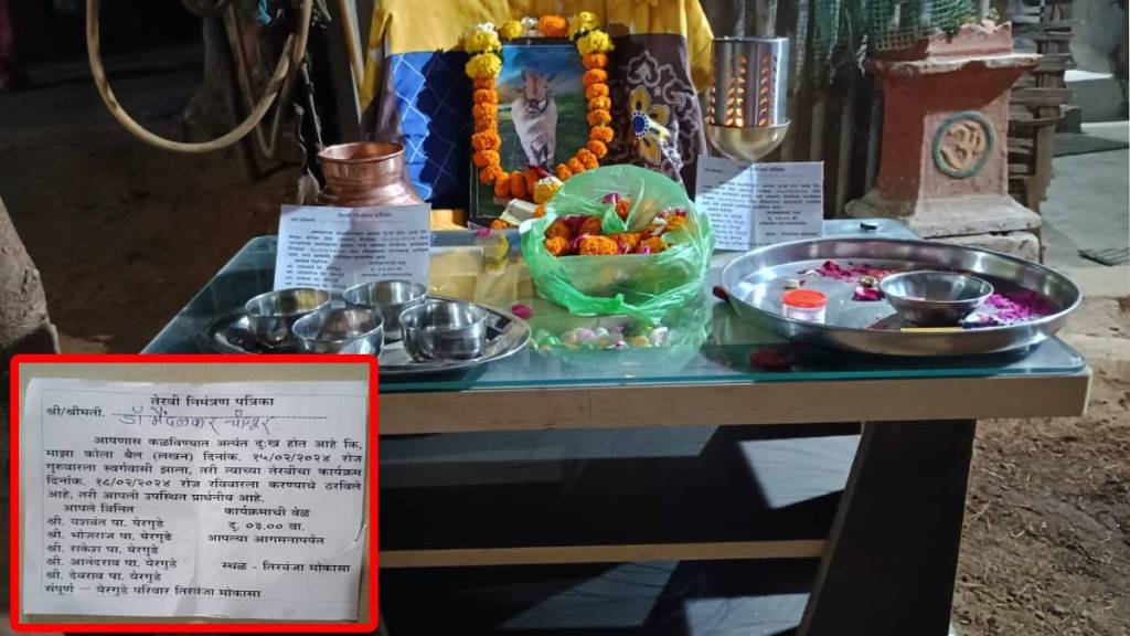 farmer family performed last rites of ox