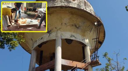 Bees attack citizens chandur bazar