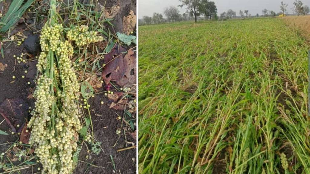 Unseasonal rain Washim