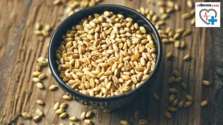 Health Benefits of 100 gram Wheat contains Nutritional powerhouse those who include it in their diet
