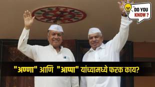 What is the difference between anna and aappa