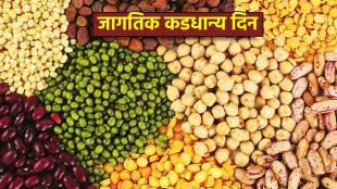 world pulses day 2024 significance benefits of lentils protein in daal toor moong masoor chana and urad dal