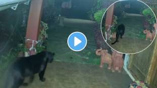 Black Panther roaming around a house in Tamil Nadu