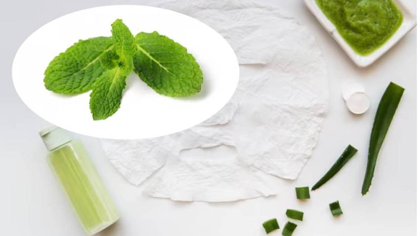 Tulsi homemade facepack