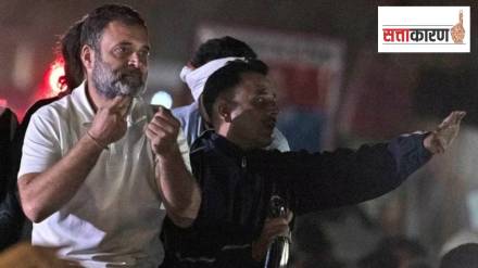 rahul gandhi wayanad election