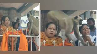 Sushma Andhare Speech and Monkey Entry