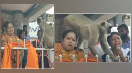 Sushma Andhare Speech and Monkey Entry