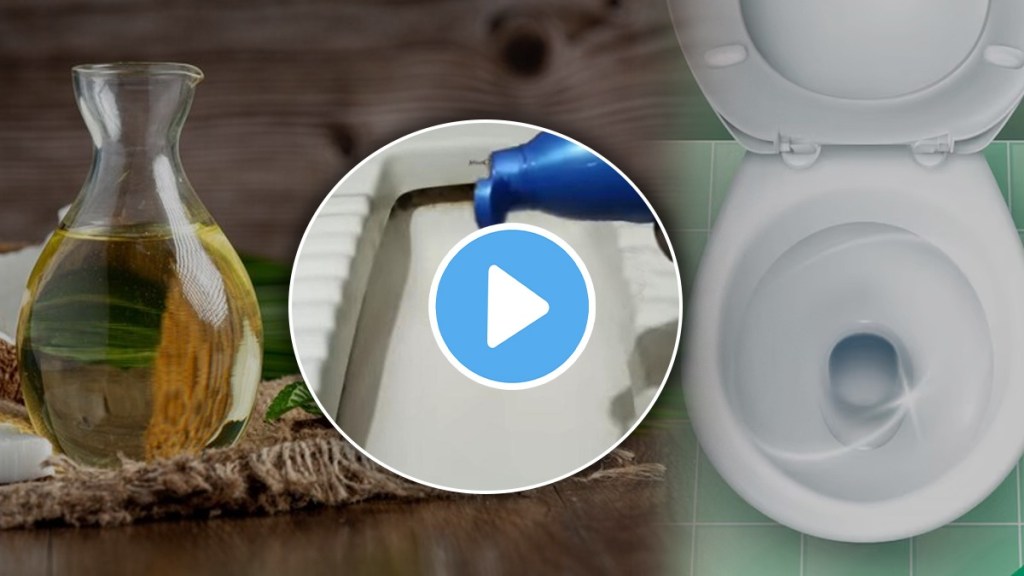 Toilet Cleaning Tips