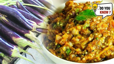 origin of vangyache bharit history of brinjal bharta information you need to know