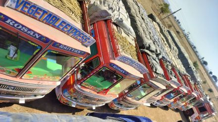Stock of adulterated betel nuts worth Rs 3 crore seized illegal transportation in 11 trucks
