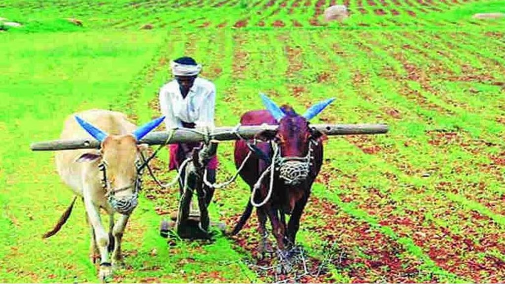 export of agricultural produce increased marathi news, apeda agricultural produce export marathi news