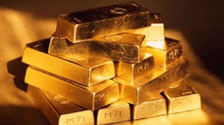 mumbai airport 8 kg gold seized marathi news, 8 kg gold mumbai airport marathi news