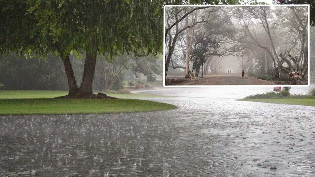 maharashtra weather update marathi news, maharashtra rain prediction marathi news, maharashtra cold wave marathi news maharashtra weather update marathi news, maharashtra rain prediction marathi news, maharashtra cold wave marathi news