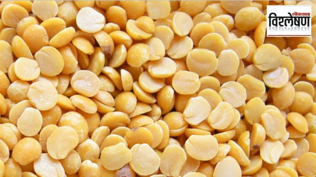 tur dal crisis in india marathi news, tur dal marathi news, tur dal rates marathi news