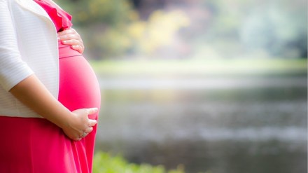 maharashtra 34 babies die in the womb every day marathi news, maharashtra 34 babies die per day marathi news