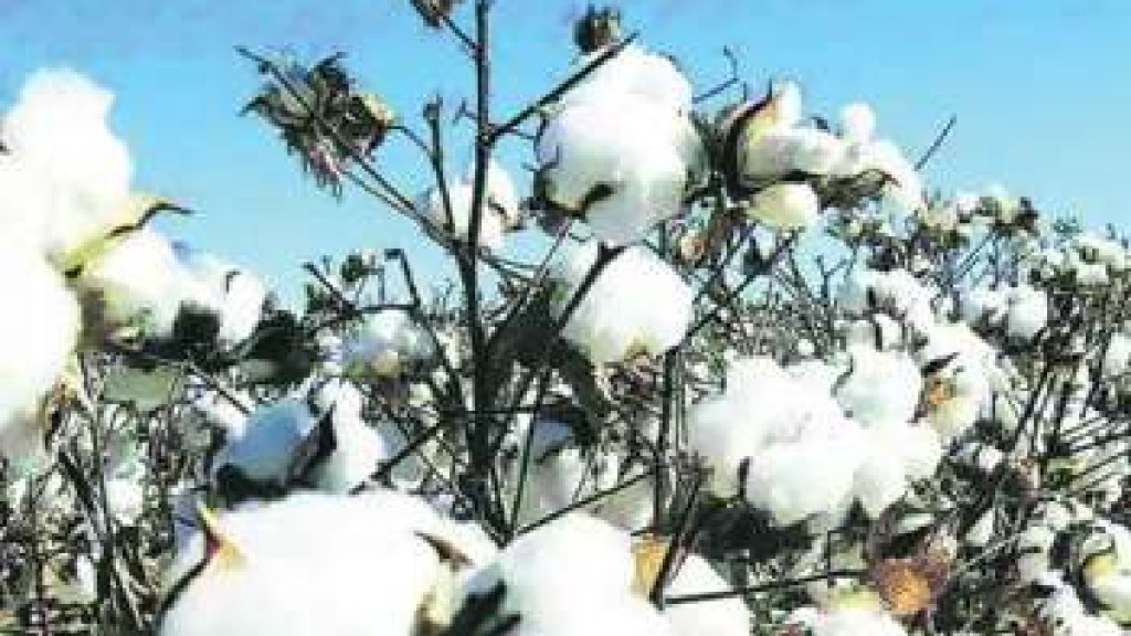 seeds worth 9 lakhs seized from farmers in Andhra Pradesh
