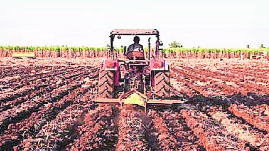 Cultivation or destruction of land The land becomes saline and infertile for agriculture